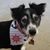 Lori Sullivan's profile image