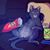Cathy Hamisch Aguilera's profile image