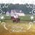 Judy Kirkman's profile image