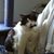 Nancy Lysett's profile image
