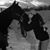 Melissa Griesser-Cavanaugh's profile image