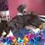 Sandra Hudgins's profile image