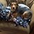 Linda Brummett's profile image