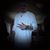 Steven Rabenstein's profile image