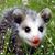 Liz VanHuss Bateman's profile image