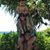 Paulo Sarah Benson Napoles's profile image