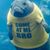 Christopher Shelor's profile image