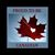 Melanie Barrows Fassler's profile image