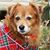 Enger Clements Dickey's profile image