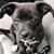 Lindsay Grandview Nates's profile image