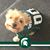 Debbie Hoyt's profile image