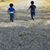 Desiree Nilson's profile image