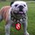 Mike Frazzetta's profile image