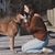 Courtney Marie Wimmert's profile image