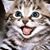 Deborah Frye's profile image