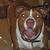 Donna Anderson's profile image