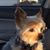 Wendy Tolleson's profile image