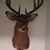 Travis Jaeckels's profile image