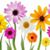 Karen Landowski Wibstad's profile image