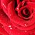Jaquelin Ram's profile image