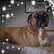 Sheree Hull's profile image