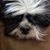 Michelle Schnider's profile image