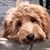 Peggy Hampton's profile image