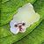 Janet Faulk Coley's profile image