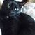 Debra Applegate's profile image