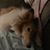 Ann Driskell's profile image