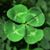 John Dooling's profile image
