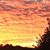Sharon Woodard Lee's profile image