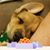 Jennifer Hupp's profile image