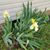 Janette Haston's profile image