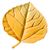 Iskyn ForMe's profile image