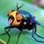 Chris Erickson's profile image