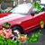 Lynne Pelletier's profile image