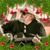 James B Jones's profile image