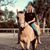 Janine Gerfers McNeal's profile image