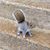 Normalynn Hammond Layton's profile image