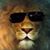 Frank Turpin's profile image
