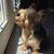 Lisa Pilkinton's profile image