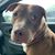 Heather Hartner Waters's profile image