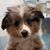 April Leininger's profile image