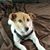 Glen Anderson's profile image