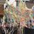 Suzie Pini van Deurs's profile image
