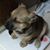 John Masciocchi's profile image