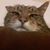 Jasper Horner's profile image