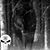Rex Mettler's profile image