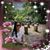 Rheangela Delick's profile image